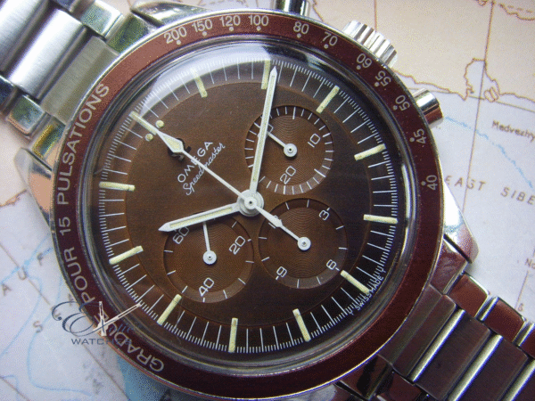 Omega Speedmaster Tropical Hodinkee